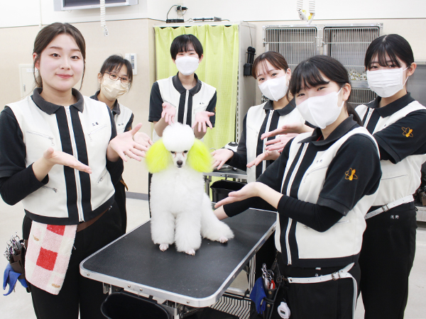 ２年生のカラーリング実習～Cクラス～